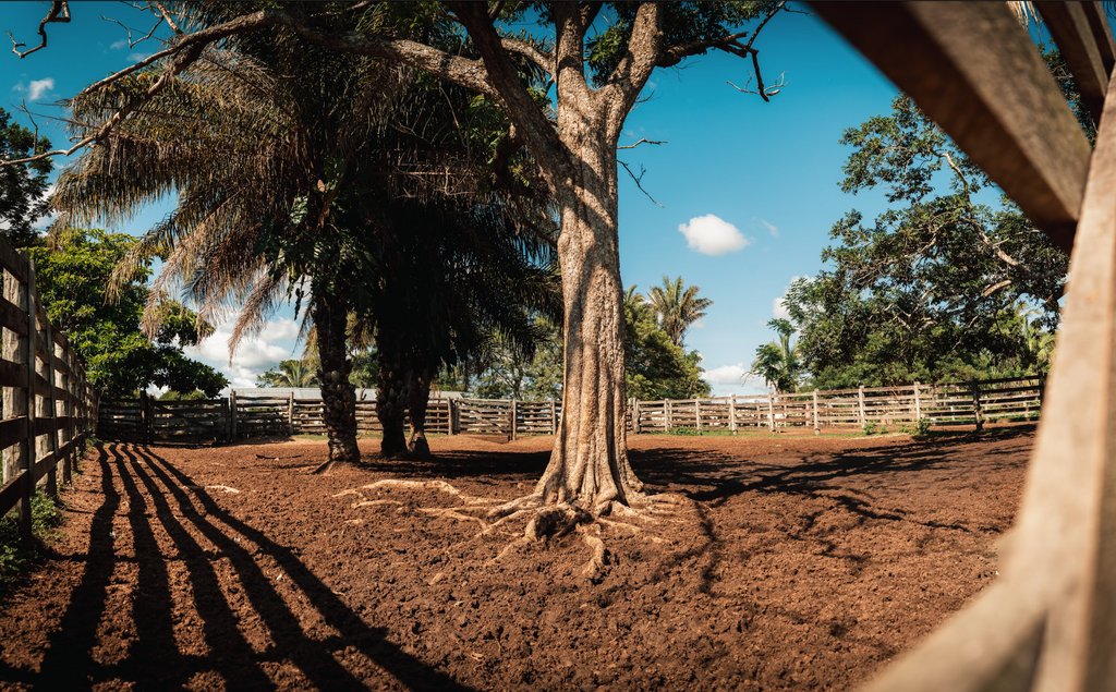 La Pradera cattle ranch, Bolivia, spans over 3 200 ha of beautiful Bolivian countryside. We are pleased to report that the operations at La Pradera are fully compliant with the highest ESG standards. 

#tokenisation #futurefinance #finkatokens #laPraderaRanch #LaPraderaBolivia