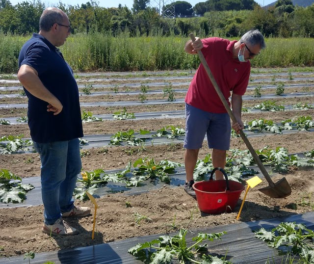 FishProgetto's tweet photo. Tante novità nella Newsletter n. 4 - https://t.co/z3DBw1dBxZ, dalle azioni dei ricercatori (ormai tutti sul campo) allo sviluppo concreto da parte degli agricoltori che sul campo ci sono da sempre. https://t.co/hPCZvnSWGs