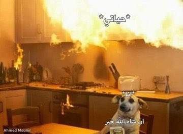 كل يوم صورة معبرة (@memesoficiial) on Twitter photo 