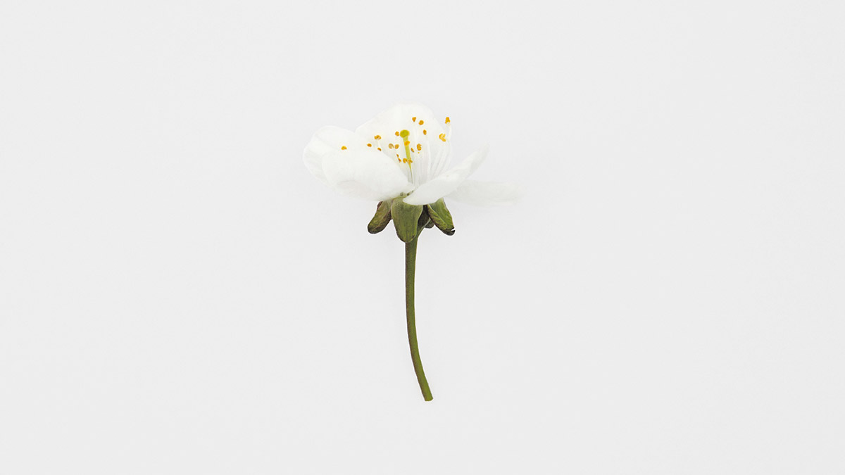 Canterbury Christ Church University tweet media