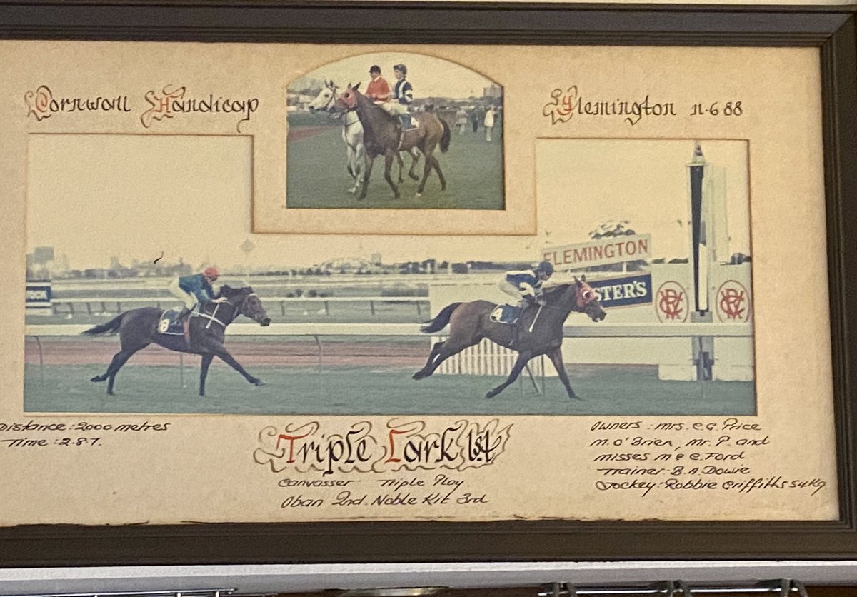 Mareliese tweet media