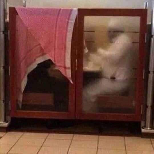 يحيىً (@yoyonfc) on Twitter photo 