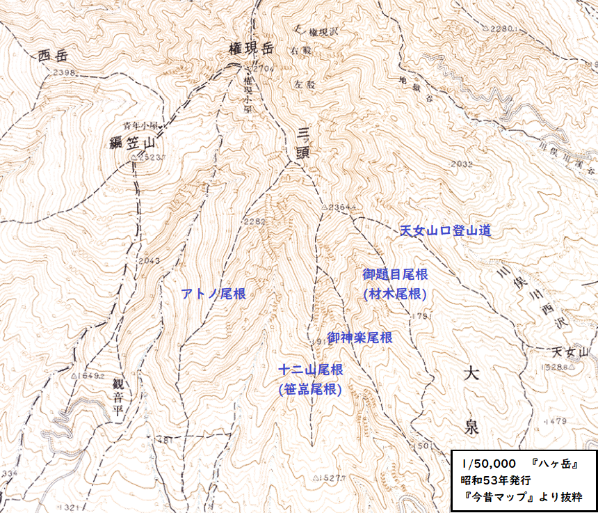 umitoyamatobeer photo