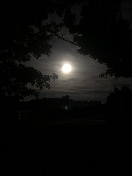 Walking Charley just before dawn. https://t.co/sBOlfZRcGr<a href="/tag/mahomes"class="tags"><span>#mahomes</span></a>