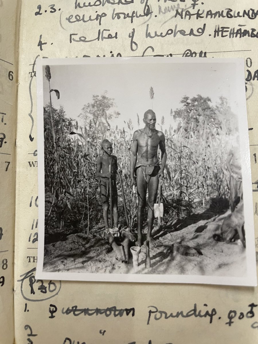 We have good reason to be excited about this hoe! Thanks to some fantastic work by our JRA Harry we know it was made by Kavela (pictured below), a blacksmith living near the last bend in River Poponde before Mupa. Learn more: makingafricanconnections.org/s/archive/item…