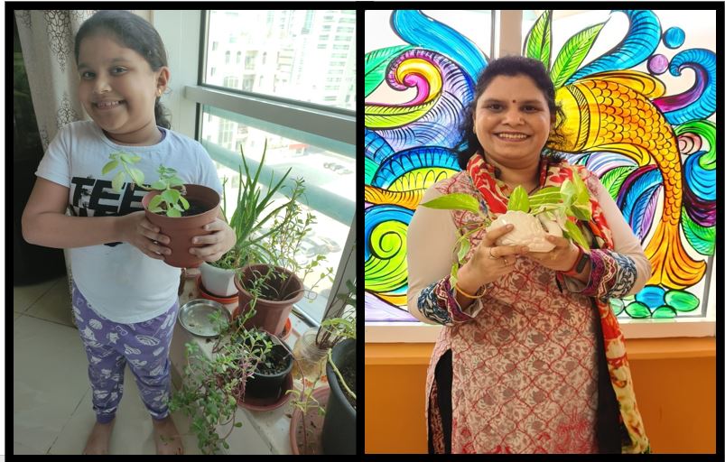 'When we plant trees,we plant the seeds of peace and seeds of hope.'
@JaneGoodallUAE #PlantingHope
 #celebratingInternationalPeaceDay @dpsshj 
@AnuradhaA97 @adiba30 @ritikaoberoi70 @RinkySachdeva99 @noorjahan_09 @ManaleePal2 @Kashkal87