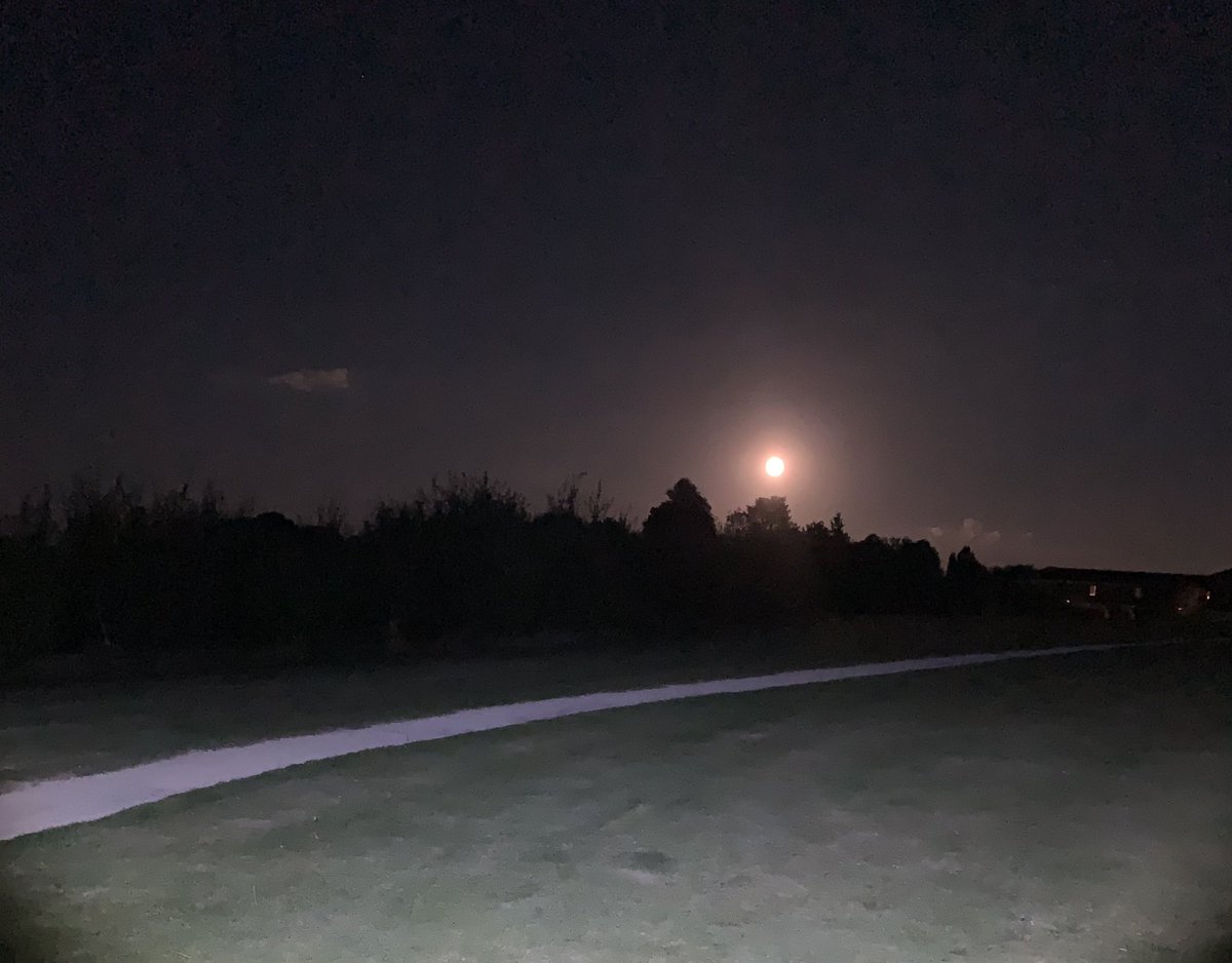 llleean's tweet photo. Last nights moon made the late night dog walk perfect #moon #walk #dogwalk #lovewhereyoulive https://t.co/oOFdorFjir