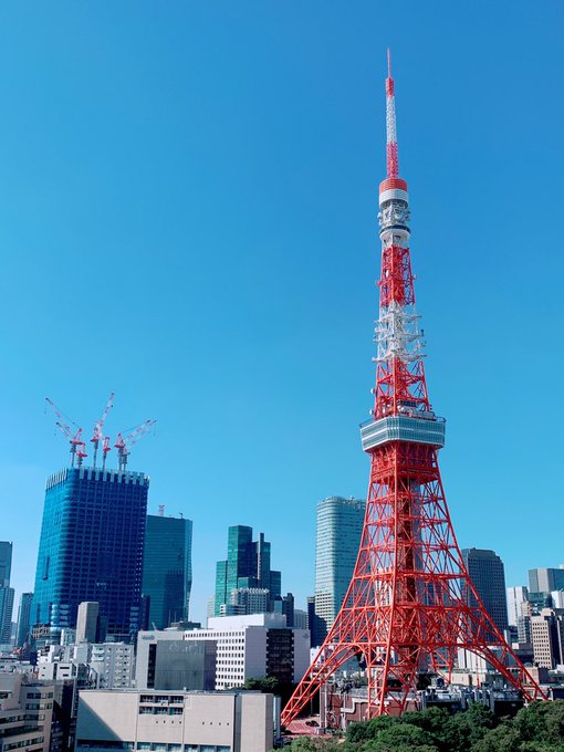 ポジティーちゃんのツイート画像