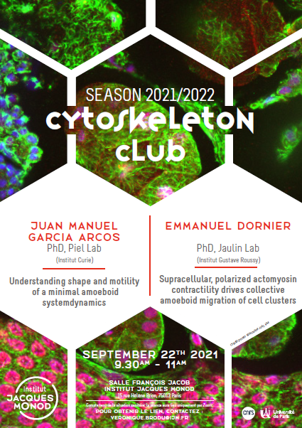 IJMonod's tweet photo. 🚨 The #Cytoskeleton Club is back!
➡️ See you tomorrow online at 9:30am with @juanmagararc @institut_curie & @DornierEmmanuel @JaulinLab @GustaveRoussy
Contact : Veronique Brodu @GuichetLab @IJMonod https://t.co/I4vGByziIm