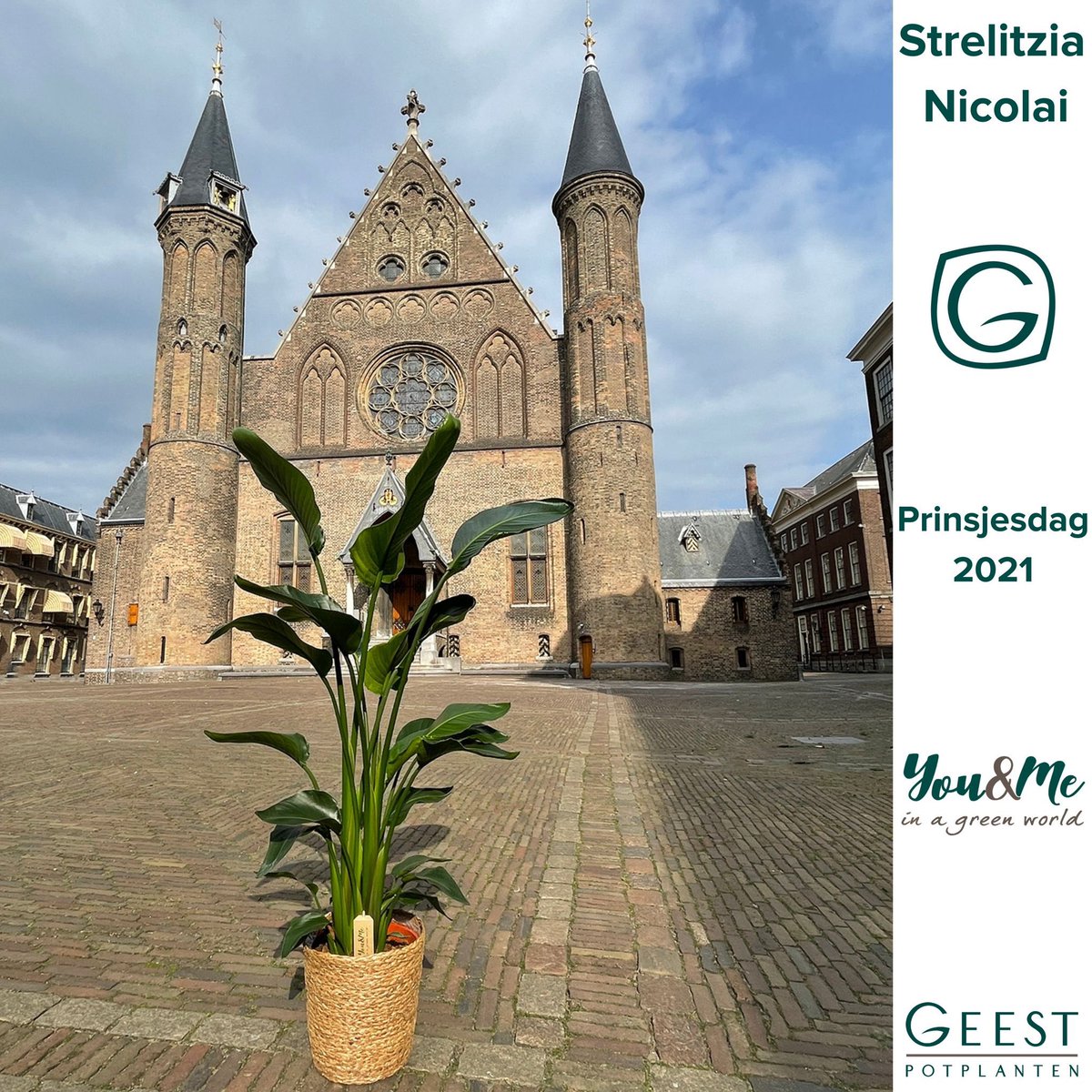 Geest Potplanten (@geestpotplanten) on Twitter photo 
