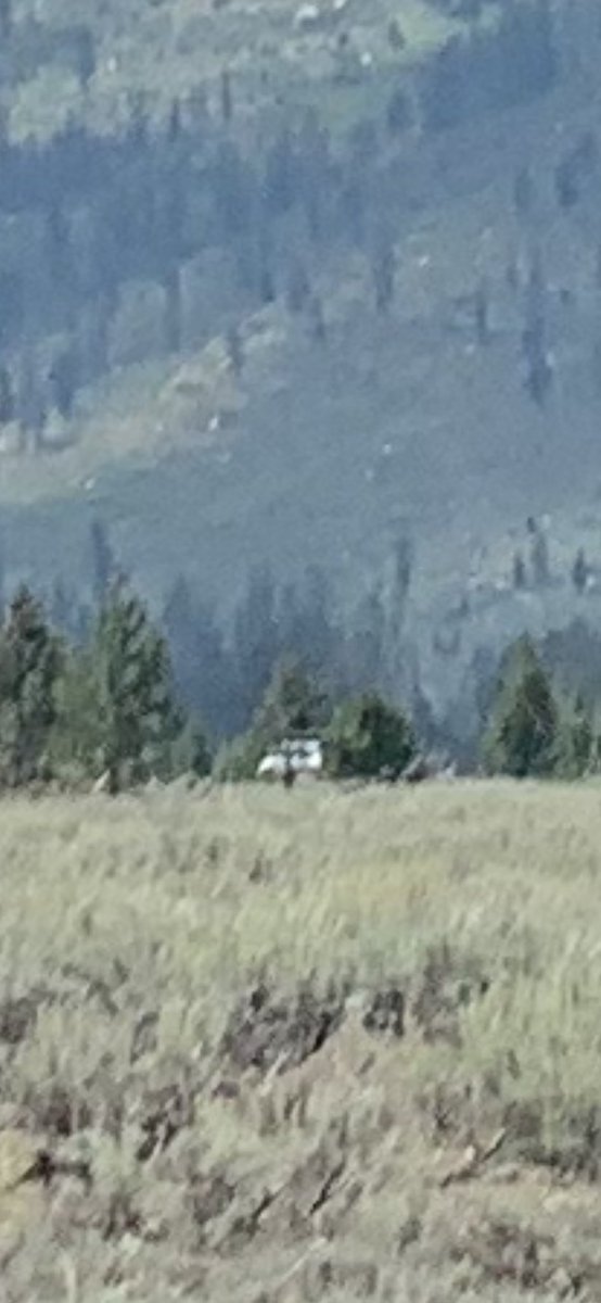 Maybe it’s something or maybe it’s not, but it was creepy enough to send chills up and down my spine. This picture of my wife was taken on the last day of our anniversary trip at Grand Teton National Park near the end of August. #GabbyPetito @FBI