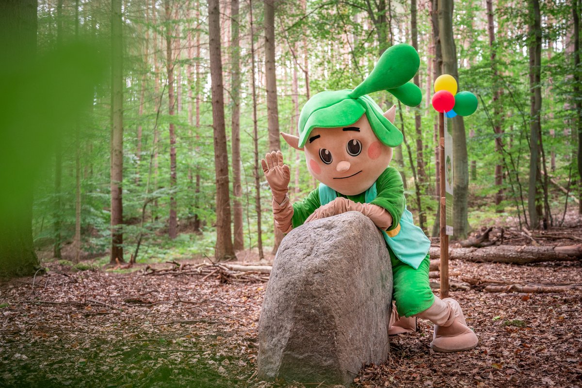 Kaiserbäder Insel Usedom tweet media