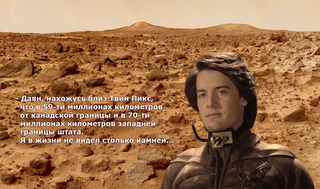 dupa🍺🦖 on Twitter: "В честь того что вышла дюна предлагаю всем ...