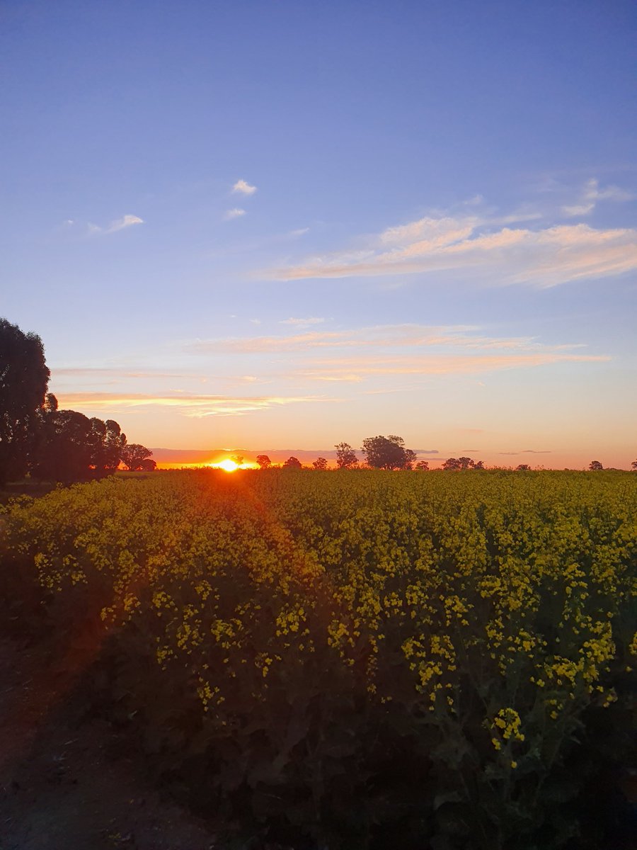 Bridget Close tweet media