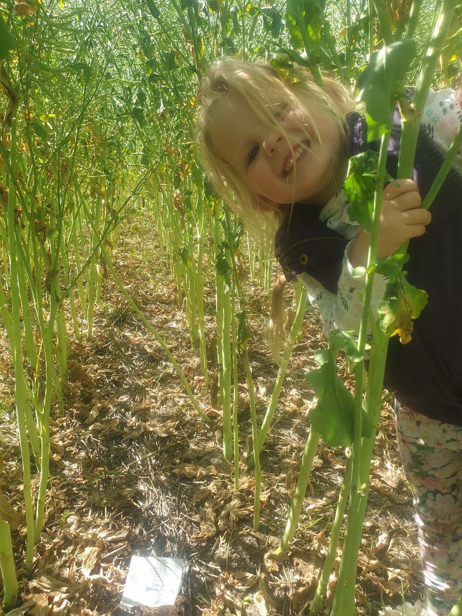 Mouse chew card inspection. Got the all clear!