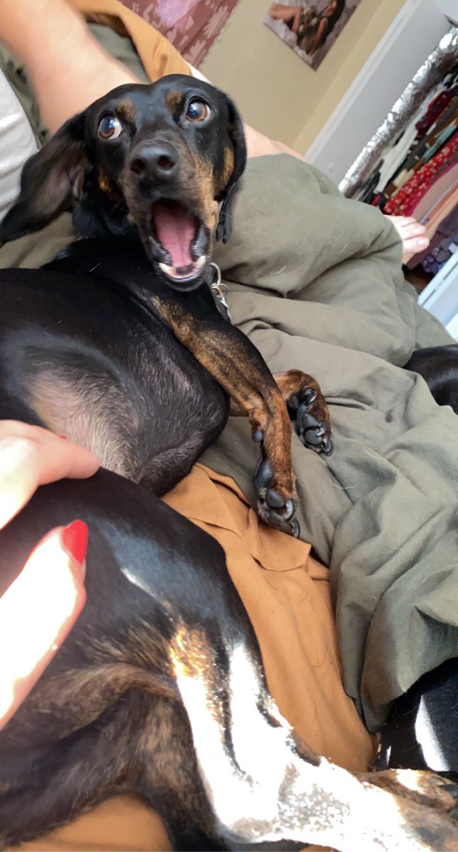 nmcd321's tweet image. Me and @Jaimiemgrant when someone tries to take our spot at the barricade