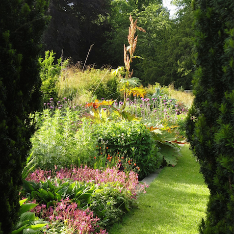 If you are planning to visit us, our road sign has had to be moved - but we are open as usual, entry through the same entrance as before. SatNav postcode is KY15 7UZ. 🌷 You can buy tickets online for the gardens at buff.ly/3BBIpoo