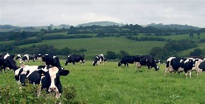 Townsend_TCS's tweet photo. NVZ DESIGNATIONS: 28 DAYS TO LODGE APPEAL
The 2021-2024 designation has been announced by DEFRA. Whilst no new areas are added, if you are considering appealing, a 28 day window applies once DEFRA's notification letter is received. For help with appeals contact 01392 823935. https://t.co/J5BBDC2ZXN