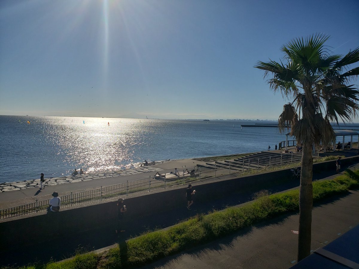 yodame_jb's tweet photo. 🍴千葉グルメ(需要があるか謎…)
二度目の訪問😆THE SURF OCEAN TERRACE RESTAURANT🐚
今回は暑すぎたのでテーブル席で。
コース料理の前菜とデザートが先月とは変わっていて嬉しかったです🌈✨海の目の前なのでなんとなく西海岸セレブ気分を味わえます🌴
#千葉グルメ #THESURF https://t.co/vYCHn3WMR0