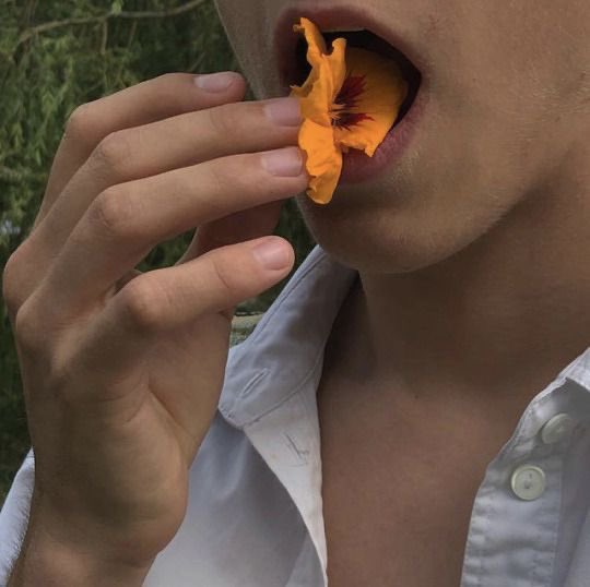 ғɪɴᴇ ʟɪɴᴇ ʟʏʀɪᴄsᴀ ᴛʜʀᴇᴀᴅ: