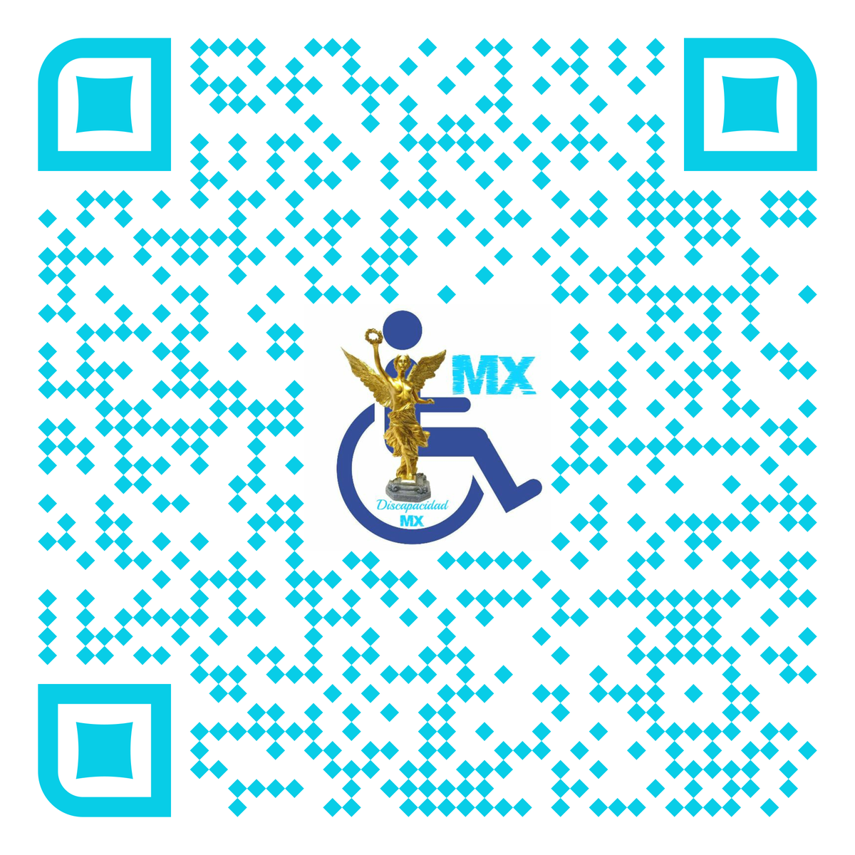 Discapacidad MX  tweet media