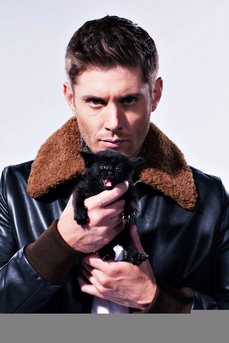 MrsPsych0tate's tweet photo. --------------- Dean Winchester as Cute Cats ---------------
                       𝓤𝓶𝓪 𝓣𝓱𝓻𝓮𝓪𝓭 𝓷𝓮𝓬𝓮𝓼𝓼á𝓻𝓲𝓪 https://t.co/91499oLczX