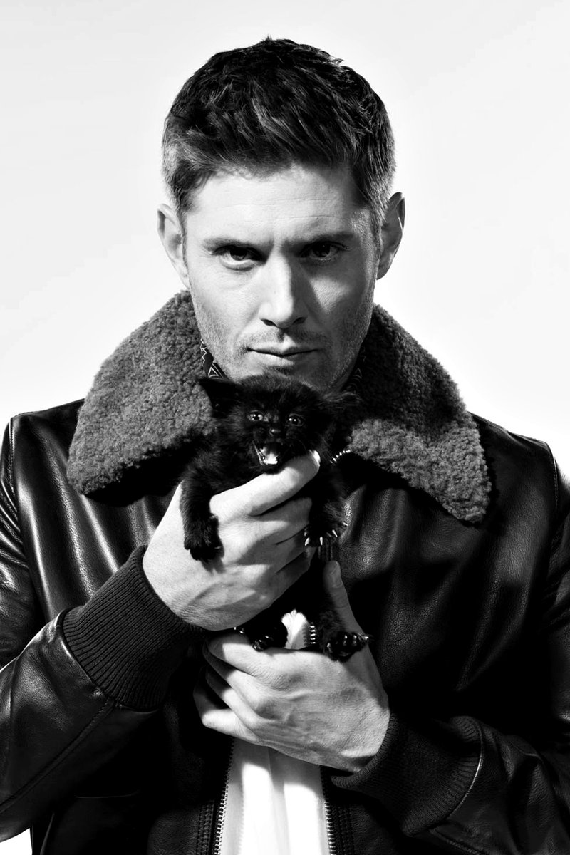 MrsPsych0tate's tweet photo. --------------- Dean Winchester as Cute Cats ---------------
                       𝓤𝓶𝓪 𝓣𝓱𝓻𝓮𝓪𝓭 𝓷𝓮𝓬𝓮𝓼𝓼á𝓻𝓲𝓪 https://t.co/91499oLczX
