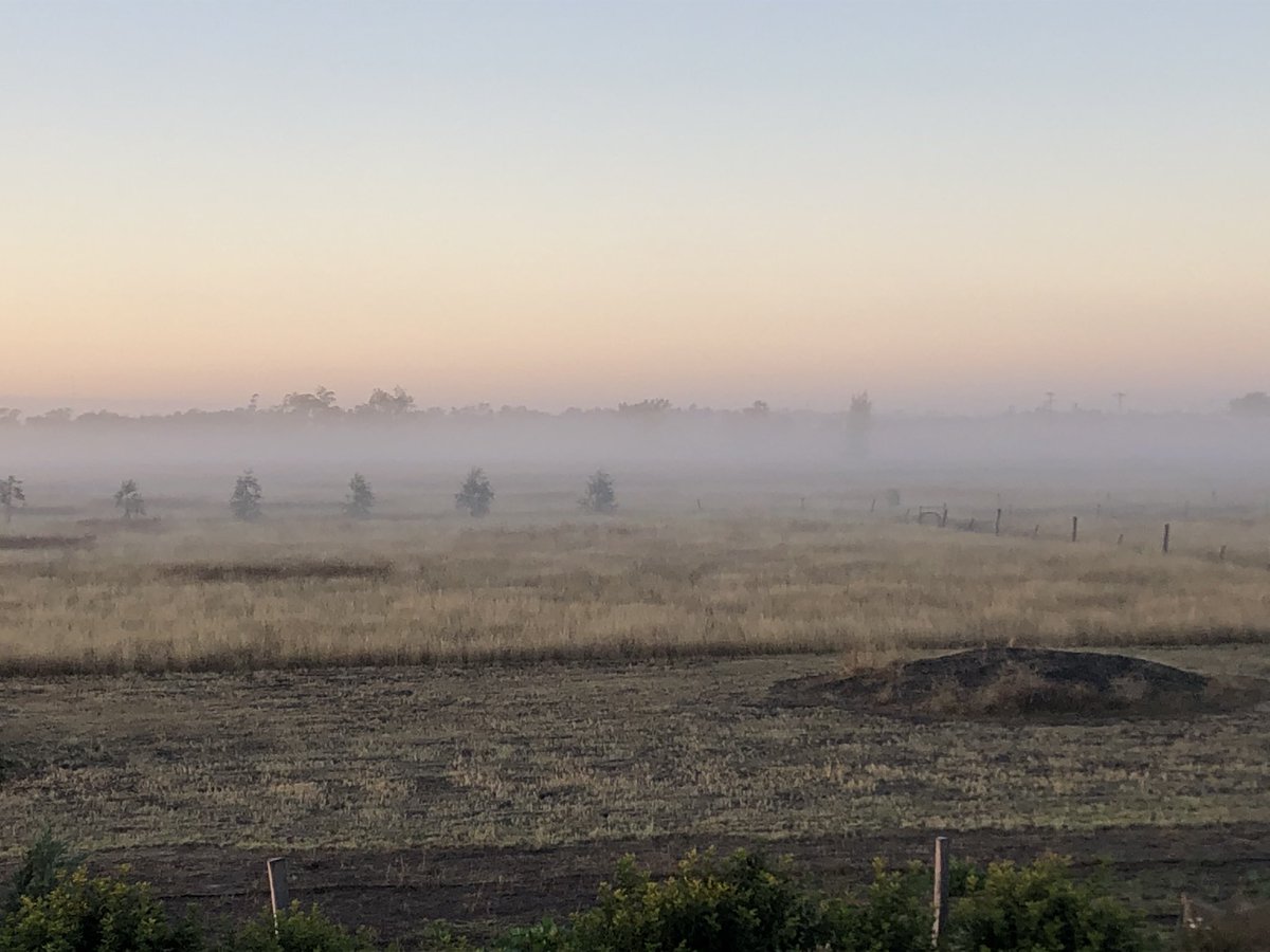 If there is fog, frost or dew, you’ve got an #inversion 
Have another cuppa or two ☕️
#getmydrift
