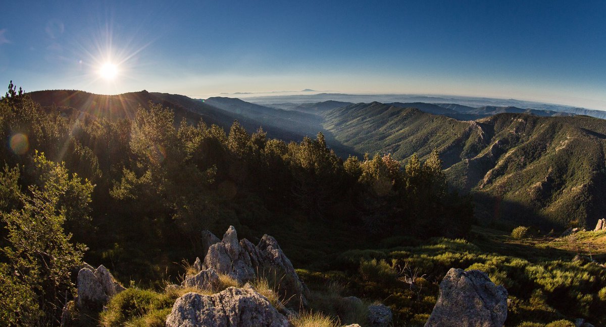 Gendarmerie_007's tweet photo. #ACouperLeSouffle

LeverDeSoleil sur les monts et vallées d'Ardèche...

On vous souhaite une très belle journée sous ce beau ciel bleu.

📸 Vallée de la Beaume

#EmerveillesParLArdeche https://t.co/Olh2koLMHH