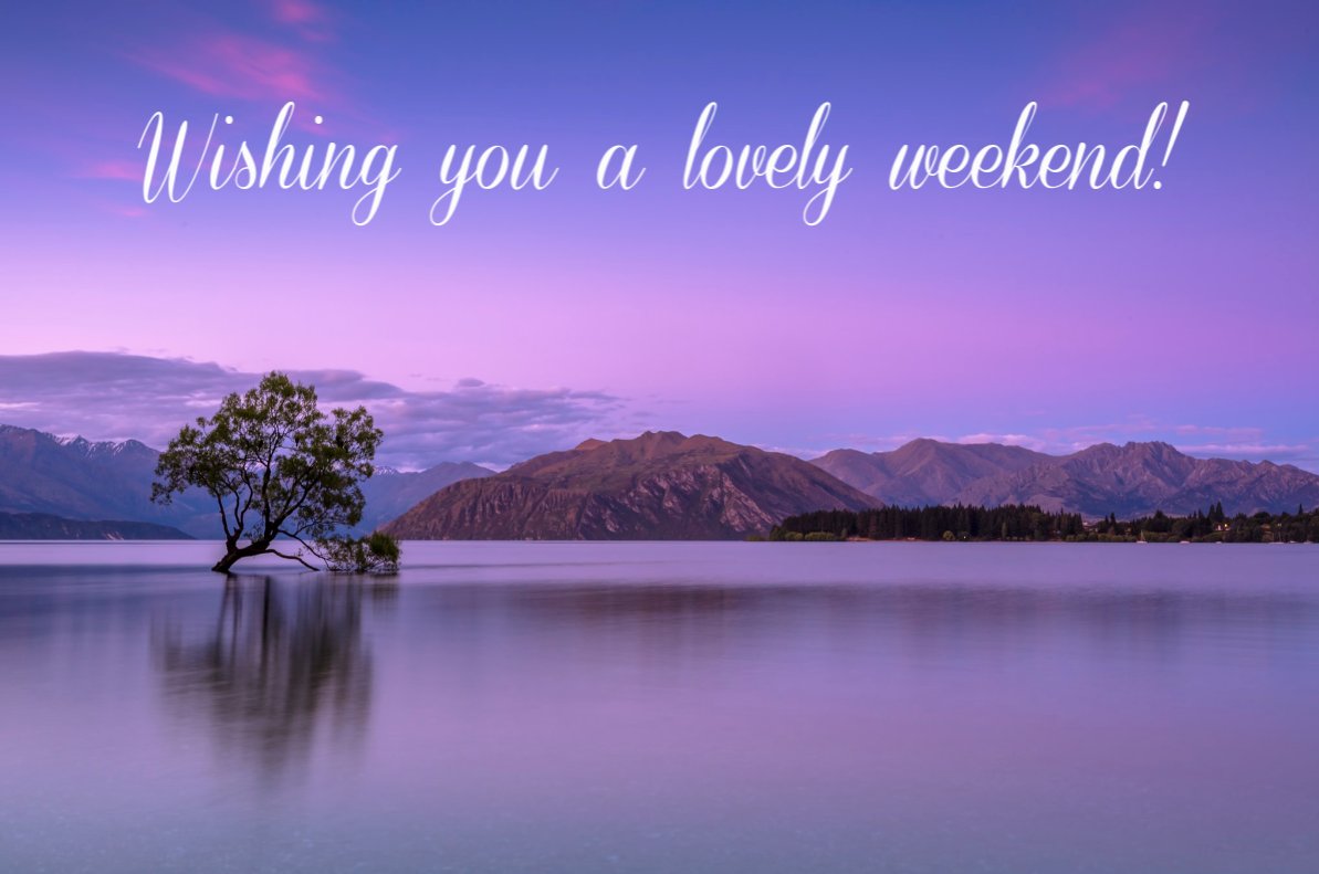 Melissa Pearl (@mpearlauthor) on Twitter photo 
