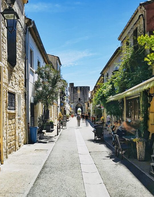 MaximeBougain's tweet photo. Petit balade cet après-midi dans les remparts d’Aigues Mortes. Découverte des plantes grimpantes sur les façades des maisons ´#Bignone, #Jasmin, #Ipomée’ #aiguesmortes @maximebougain https://t.co/sTqpVnWJXE