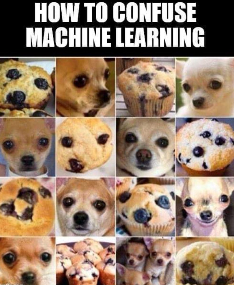 CodingSina's tweet image. 😂😂😂😂