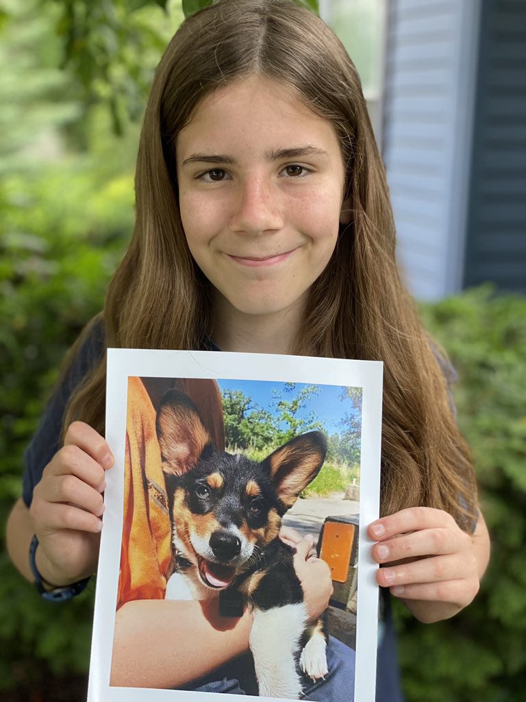 IvePetThatDog's tweet image. I would love to pet Timbit. He is a 13 week old Corgi. He was named after the donut holes sold at @TimHortons . Timbit doesn’t like to follow directions. His caregiver says he is stubborn and barks sass. He is so cute and she loves him so much, it really doesn’t matter.