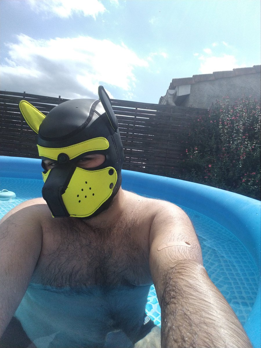 PupperSpot's tweet photo. Water puppy 🐶☀️ https://t.co/SAyqtRdmg6