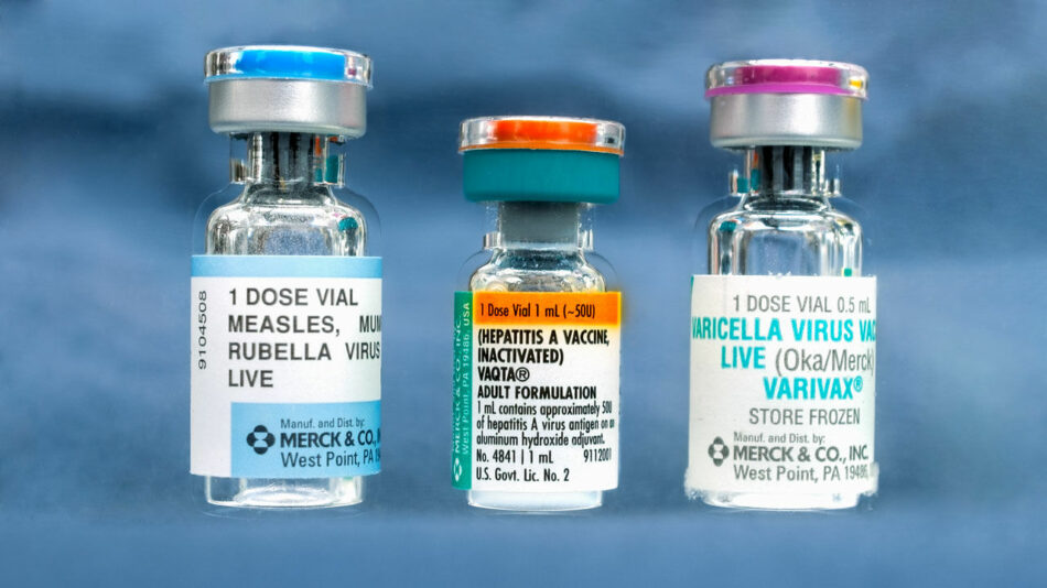 EddyWarman's tweet image. ¿Sabían qué? Existen #fetos #abortados por razones terapéuticas de los que se toman células inmortales para crear #vacunas. Este procedimiento se realiza desde 1960 y se han creado vacunas contra la #varicela, #hepatitis, #rubéola, entre otras.
