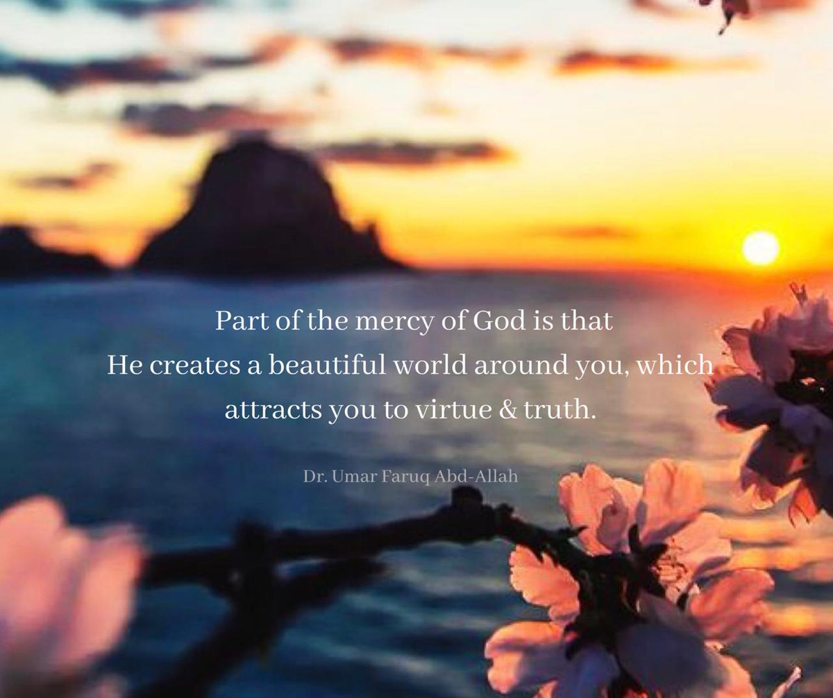 Part of the mercy of God is that He creates a beautiful world around you, which attracts you to virtue and truth.
