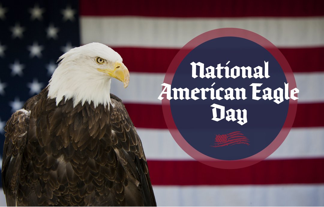 Authentically American tweet media