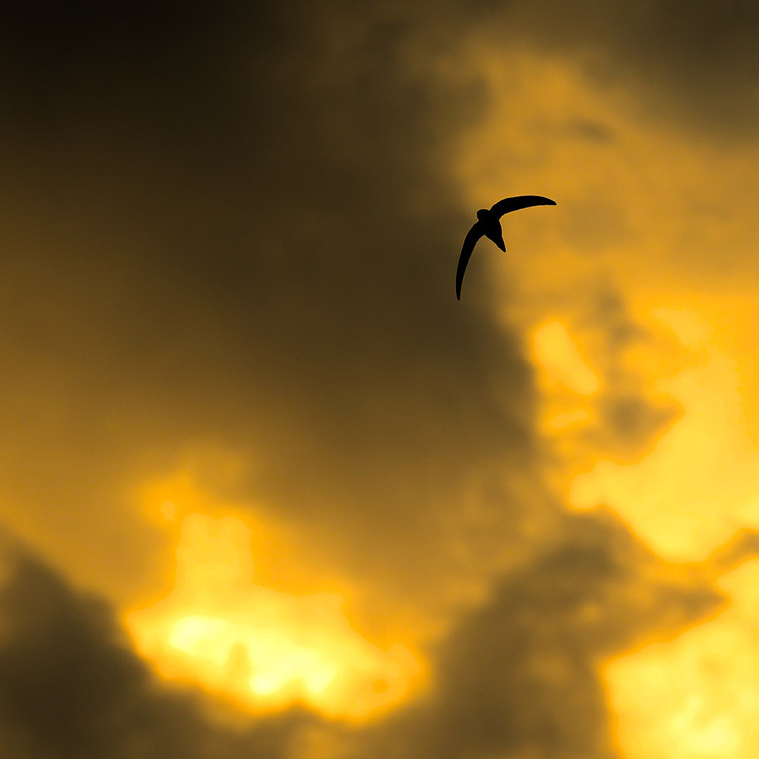 Today is the summer solstice, or the longest day of the year! What will you do to make the most of the light this evening?