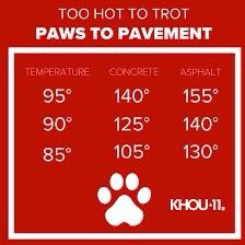 CollierGov's tweet photo. It's the first day of summer.
The best times to exercise your pets are the early morning hours or after the sun has started to set in the evenings, avoid mid-day walks.
https://t.co/NnfWO77bke
#TooHotToTrot #PawsToPavement https://t.co/Q2aMtpevAQ