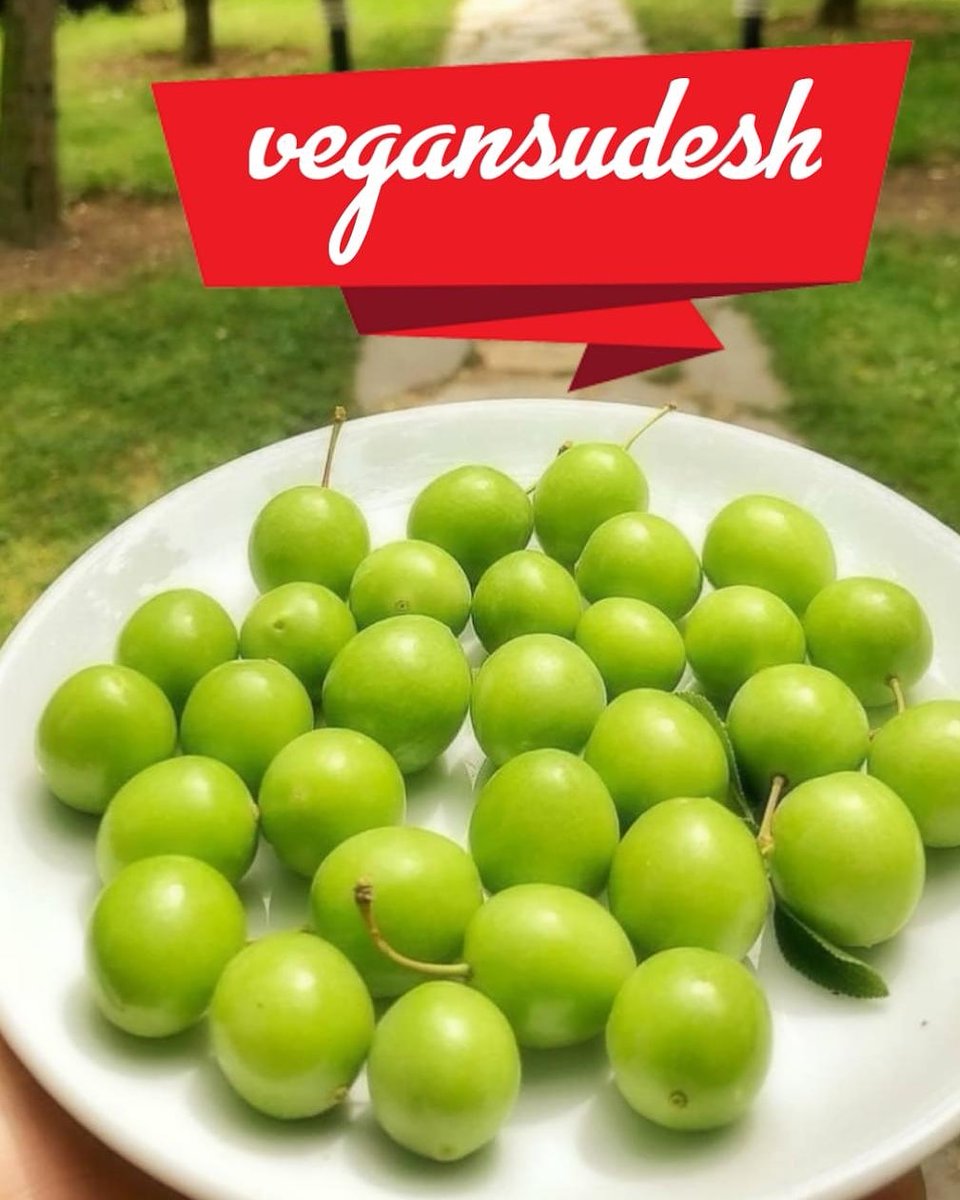 #vegansudesh #veganstudio