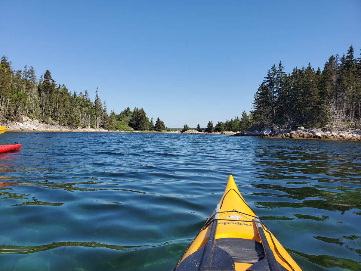 EasyLabAcadia's tweet image. Kayak escape