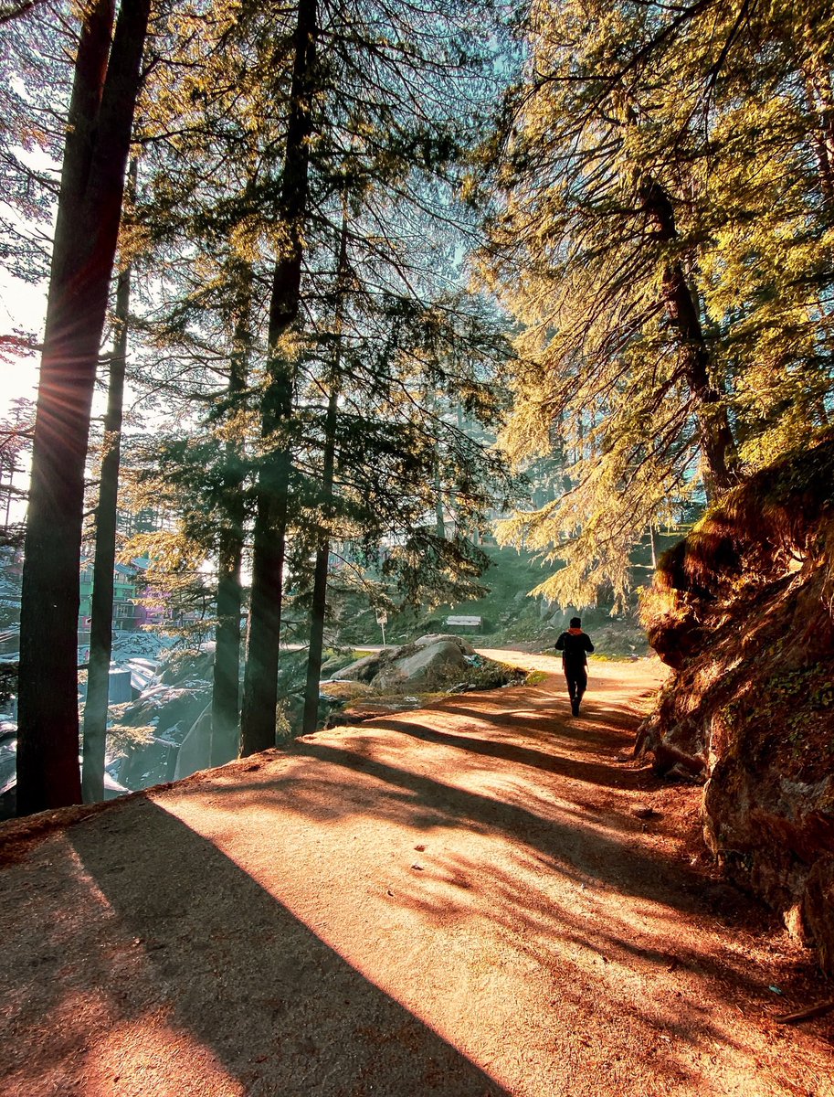 coffeekarma's tweet photo. One sunny afternoon walk in Himachal. ❤️
#ShotoniPhone
@incredibleindia @NatGeoIndia @VOGUEIndia @BuzzFeedIndia @nytimesphoto @HuffPost @NGTIndia @CNTIndia @hp_tourism @tim_cook @Apple https://t.co/YYMkQ3EN2H
