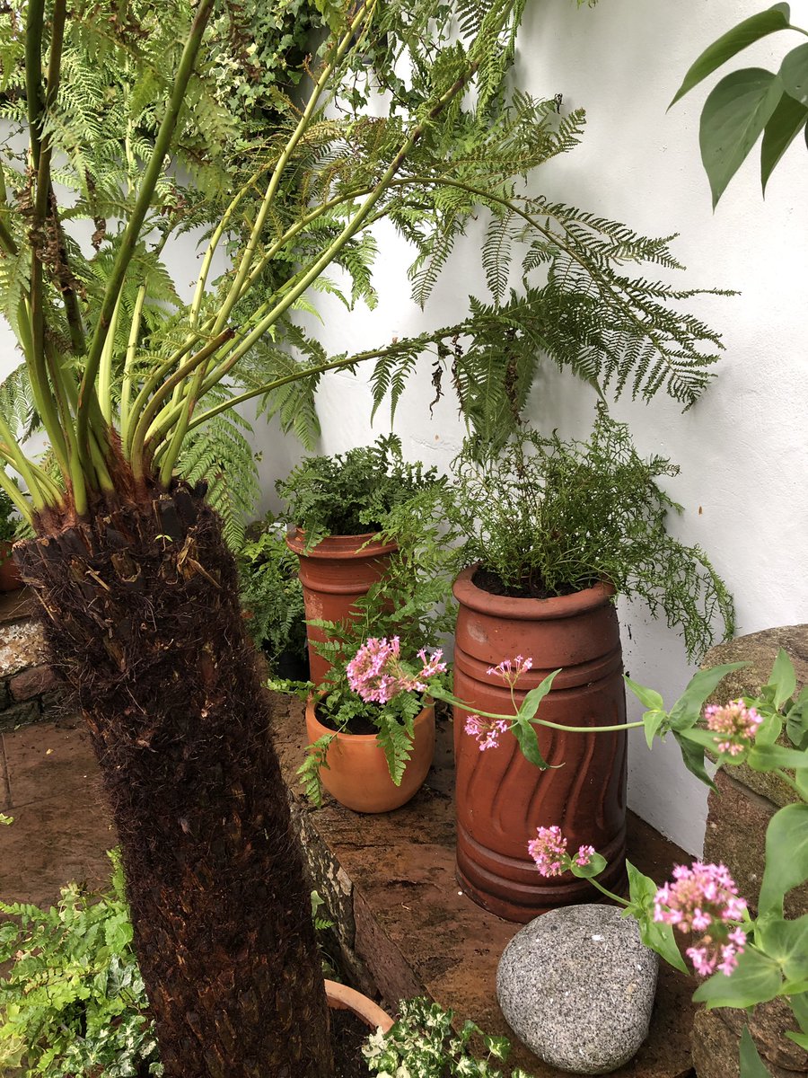 Home sweet home...
<a href="/thechimneyshop/">Cherished Chimneys</a>