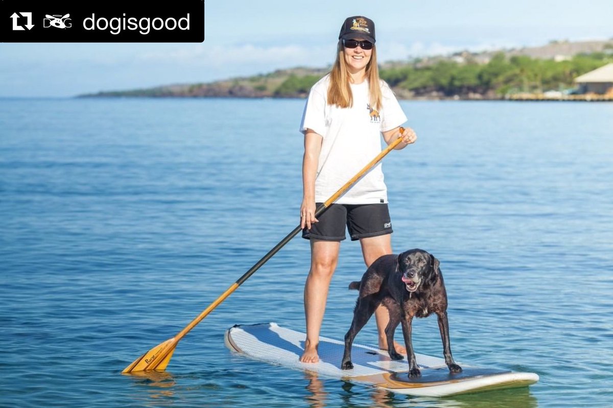 Sun’s out, tongue’s out, #SummerSolstice is here! <a href="/dogisgood/">Dog is Good</a>