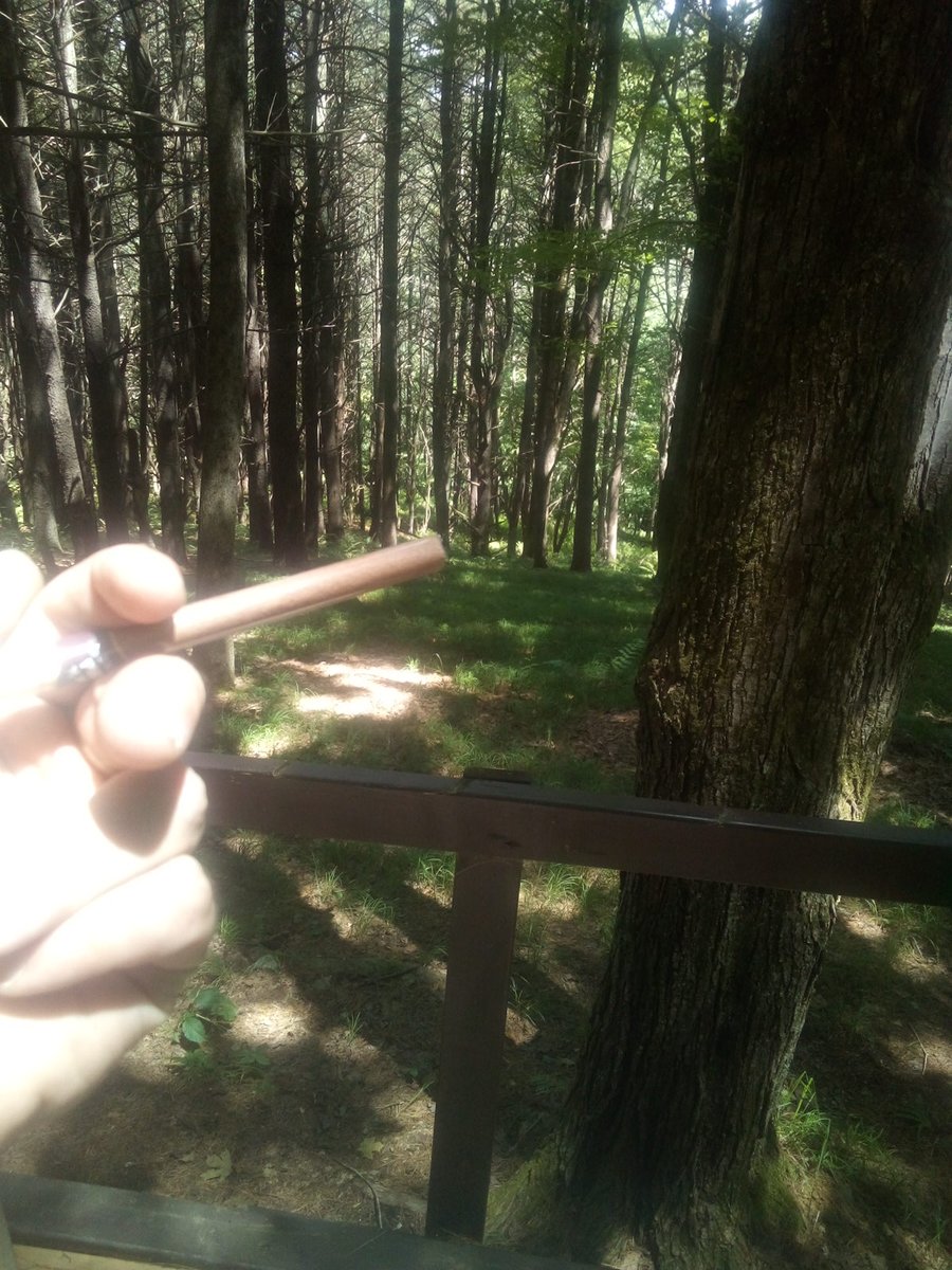 Sabian002's tweet photo. Having a cigarillo, port wine style, on the edge of the black woods #locustlake https://t.co/OC6T7q0ivz