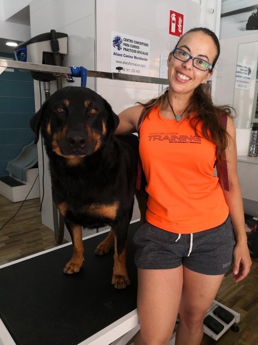 🦮 Aqu&iacute; os presento a mi 🦮Junior 🤣🤣 y as&iacute; de bien estamos🦮 despu&eacute;s de un buen ba&ntilde;o 🛀 y ahora de paseo<a href="/tag/bailar"class="tags"><span>#bailar</span></a>