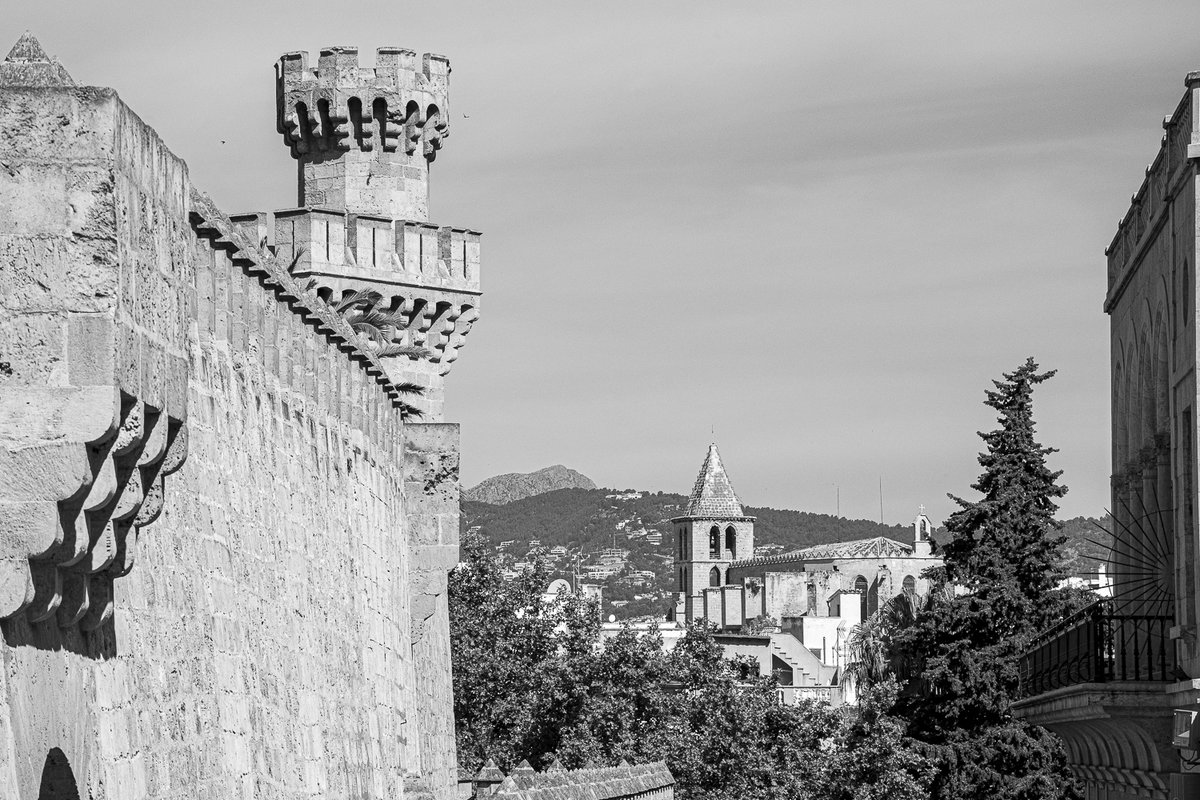 CiutatIntima's tweet photo. Tres en uno: Torre dels Caps, Santa Creu y Palau March. Y, al fondo, es Galatzó. #CiutatIntima #Ciutat #PalmaIntima #Palma #Almudaina #Mallorca #Galatzó #blackandwhite #blackandwhitephotography #streetphotography #bw #monochrome #bnwphotography #arquitecture #ThePhotoHour https://t.co/qEK1I9Svac