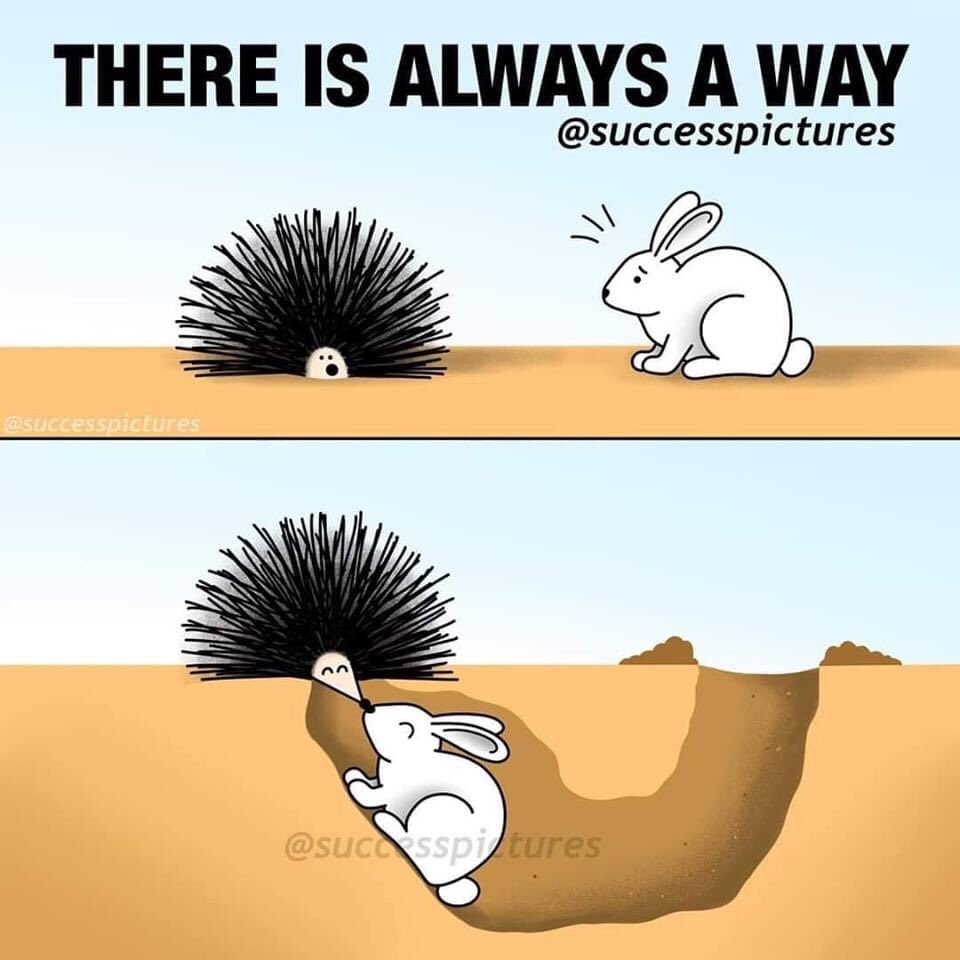 'Never Give Up'

You will always find what you seek.

#way #wayoflife #waycoolshots #wayne #wayup #wayfarer #Ways #WayBack #waynedyer #waytogo #wayuu #wayang #wayanad #wayfair #way2lov #wayupnorth #wayhaught #NeverGiveUp #Alwaysbestrong #Seek #Find #Way #Smile #SaturdayMotivation