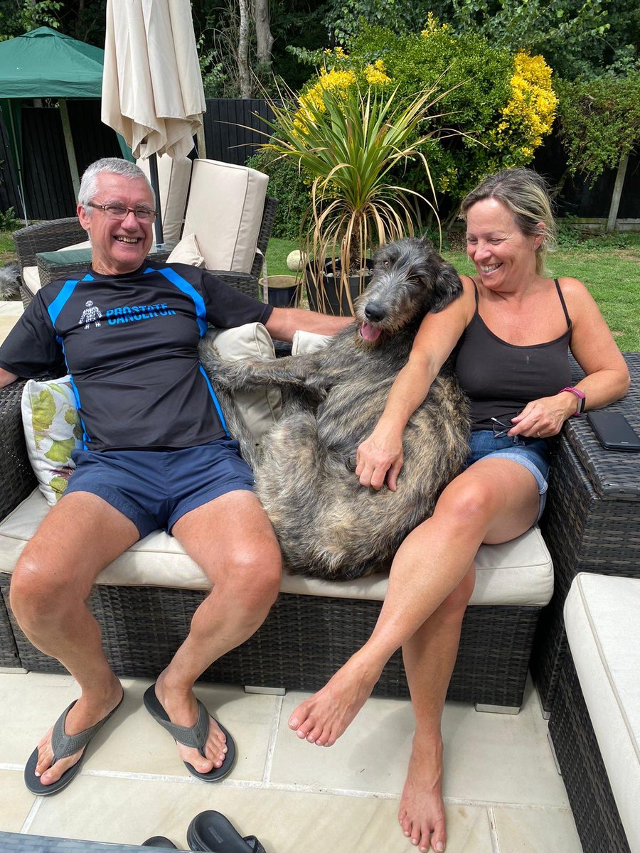 MandyKim45's tweet image. This is what matters. Happy days with hounds and family. Meet our new boy Domhnall, he’s a monster lol! #irishwolfhounds