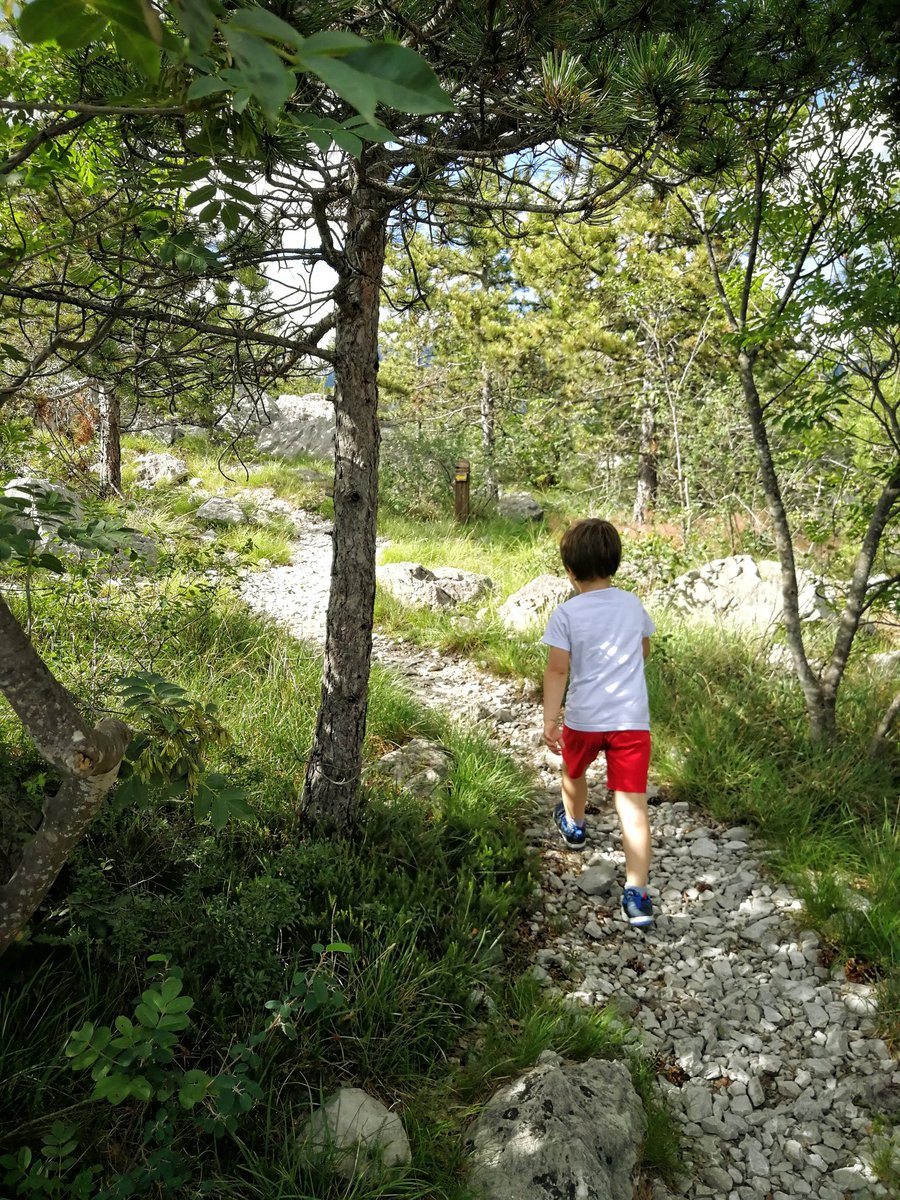 cristellina87's tweet photo. Camminata tra le #Marocche di #Dro per vedere le #impronte dei #dinosauri
#trentino #italia #trekking # https://t.co/Cn1izMtrBu